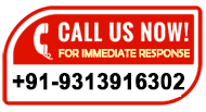 call now icon