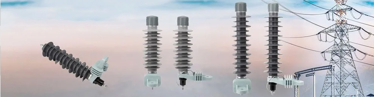 Surge Arrester